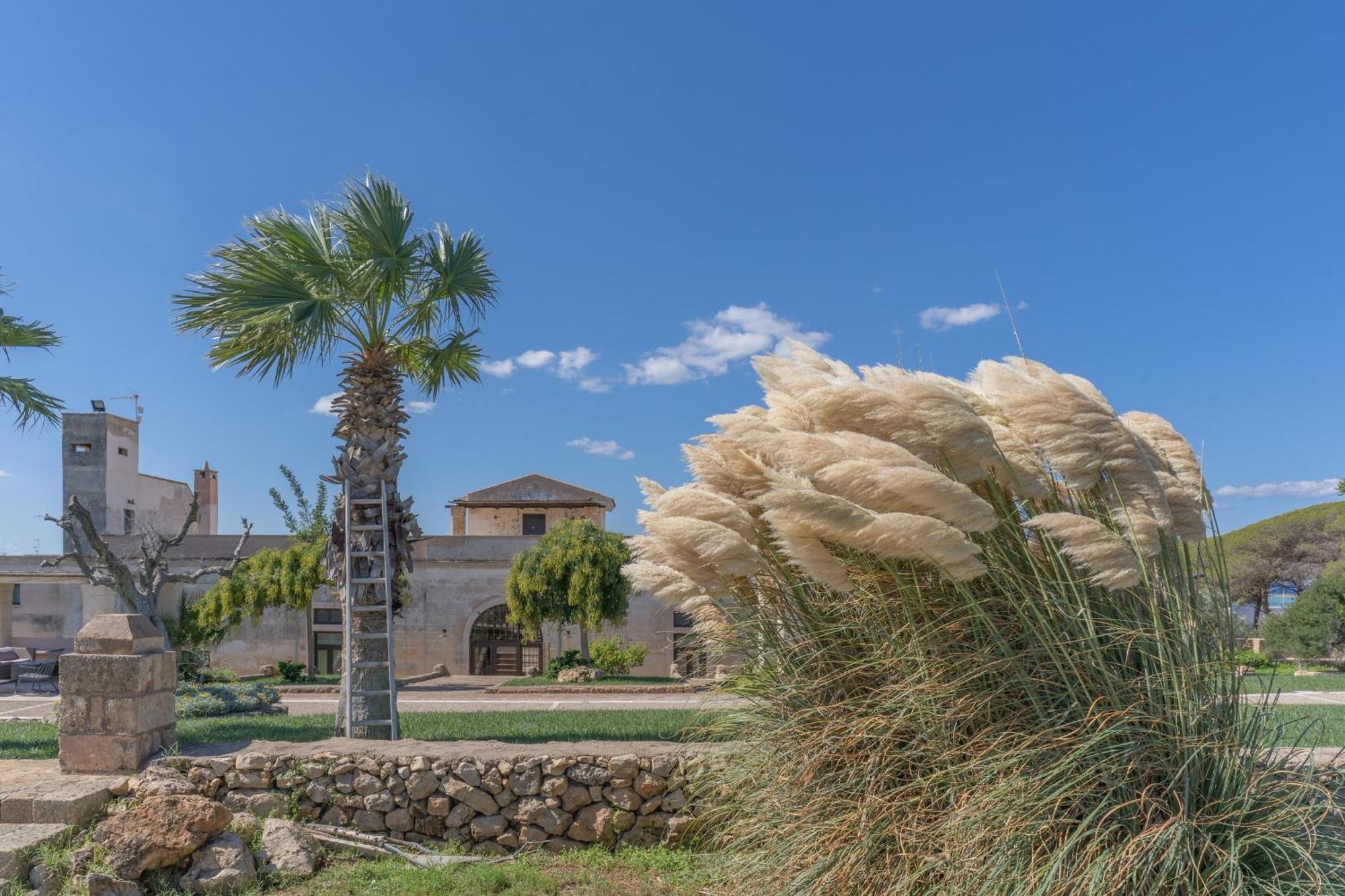 Masseria Casina Bellanova ปอร์โตเชซาเรโอ ภายนอก รูปภาพ